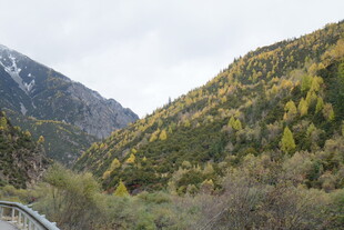 山间秋色美景