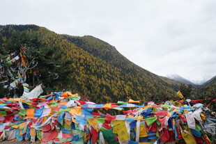 山间五彩经幡随风飘扬