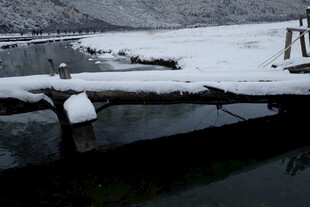 冬日河畔覆雪的横卧木材
