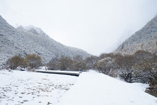 雪覆山谷的静谧冬日景象