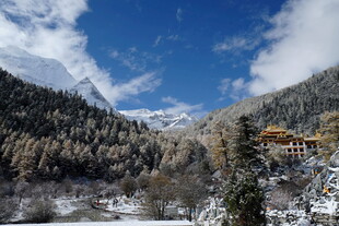 冬日雪山森林美景