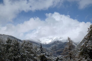 雪山森林畔的壮丽云海