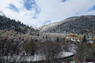 雪覆山林间的静谧景致