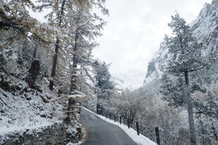 冬日雪景中的蜿蜒山路