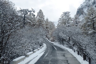 雪覆山林间的蜿蜒道路
