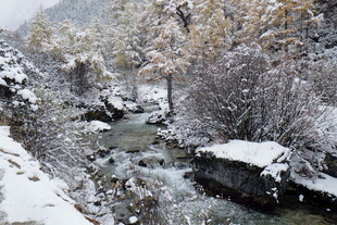 雪覆山林间的潺潺溪流