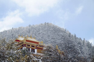 雪山下的中式古建筑