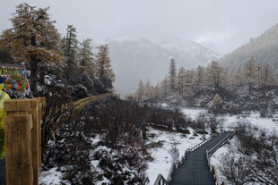 雪覆山林间的蜿蜒小路