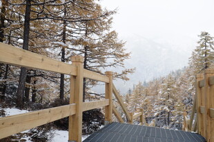 雪后林间木栈道景观