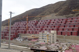 山坡上的红色建筑群