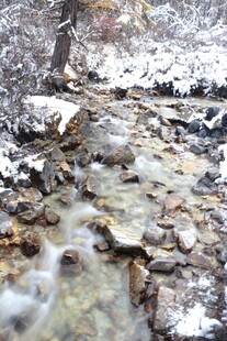 雪覆溪流 石间潺潺流水