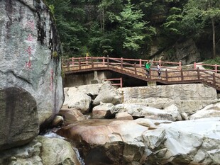 山间栈道旁的自然景致