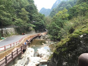 山间栈道伴溪流美景