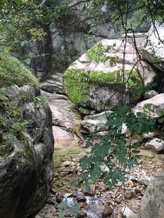 山林间的清幽石景溪流