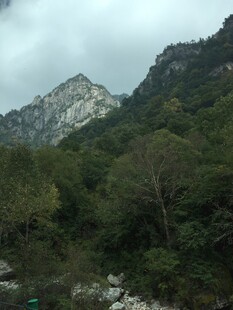 山间葱郁景色