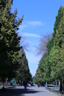 公园风景  
