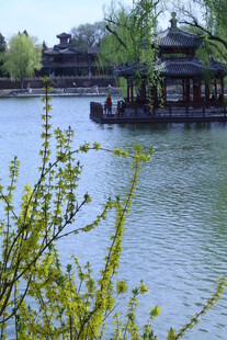 公园风景 