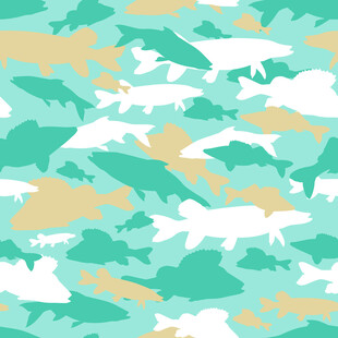 鲨鱼图案纹理背景