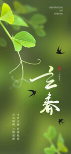 立春海报