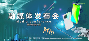 会议背景