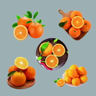 多样橙子展示图