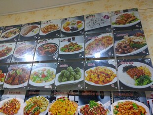 多样美味菜肴展示
