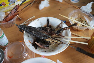 桌上的海鲜美食品鉴