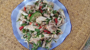 凉拌鸡肉丝 清爽美味佳肴