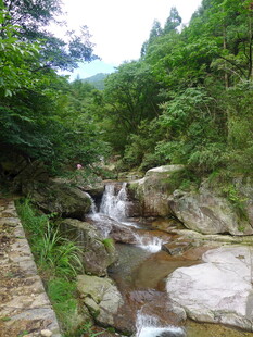 山间溪流 自然清新之景