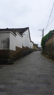 乡村小道旁的白墙民居