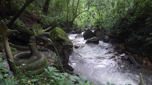 山间溪流中废弃轮胎景象