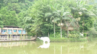 湖畔小屋 静谧的自然美景
