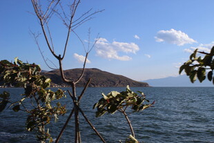湖畔树枝与蓝天碧水