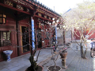 古雅庭院景致