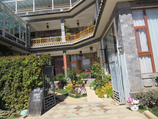 庭院绿植环绕的温馨住宅