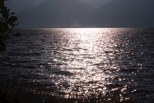夕阳下波光粼粼的海面