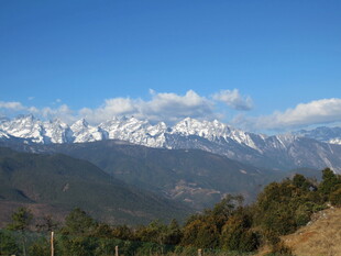 壮丽雪山与葱郁山林景观