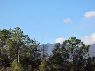 山林蓝天美景