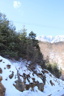 雪覆山林的冬日山景