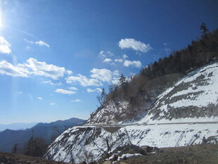雪山公路美景