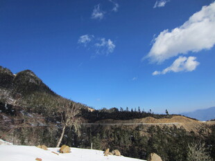 雪山蓝天间的山林美景