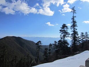 雪山松林间的壮美蓝天