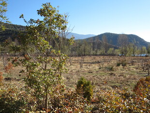 秋日山野风光