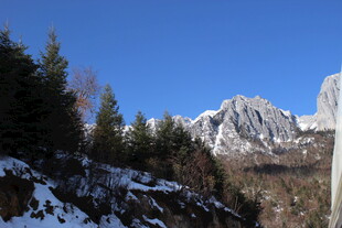 雪山松林美景