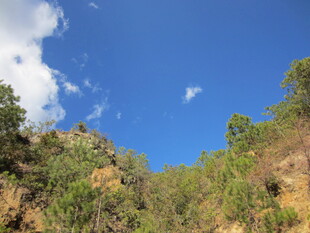 山间蓝天绿树美景