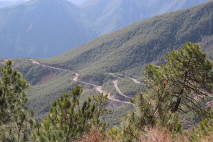 山间蜿蜒公路与葱郁树木