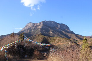 山间景致 孤木静立远山前