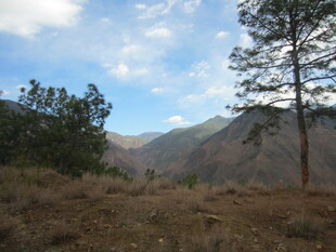 山间旷野风景