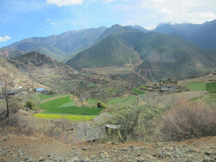 山间田园风光美景