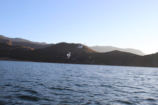 湖畔山峦风光
